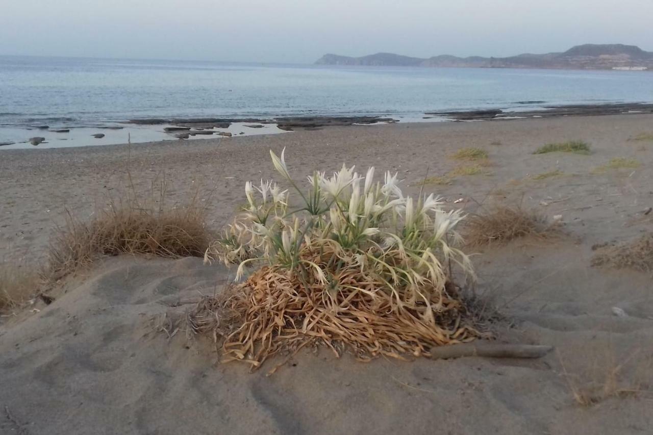 New Country House Salvia Sitia  Buitenkant foto
