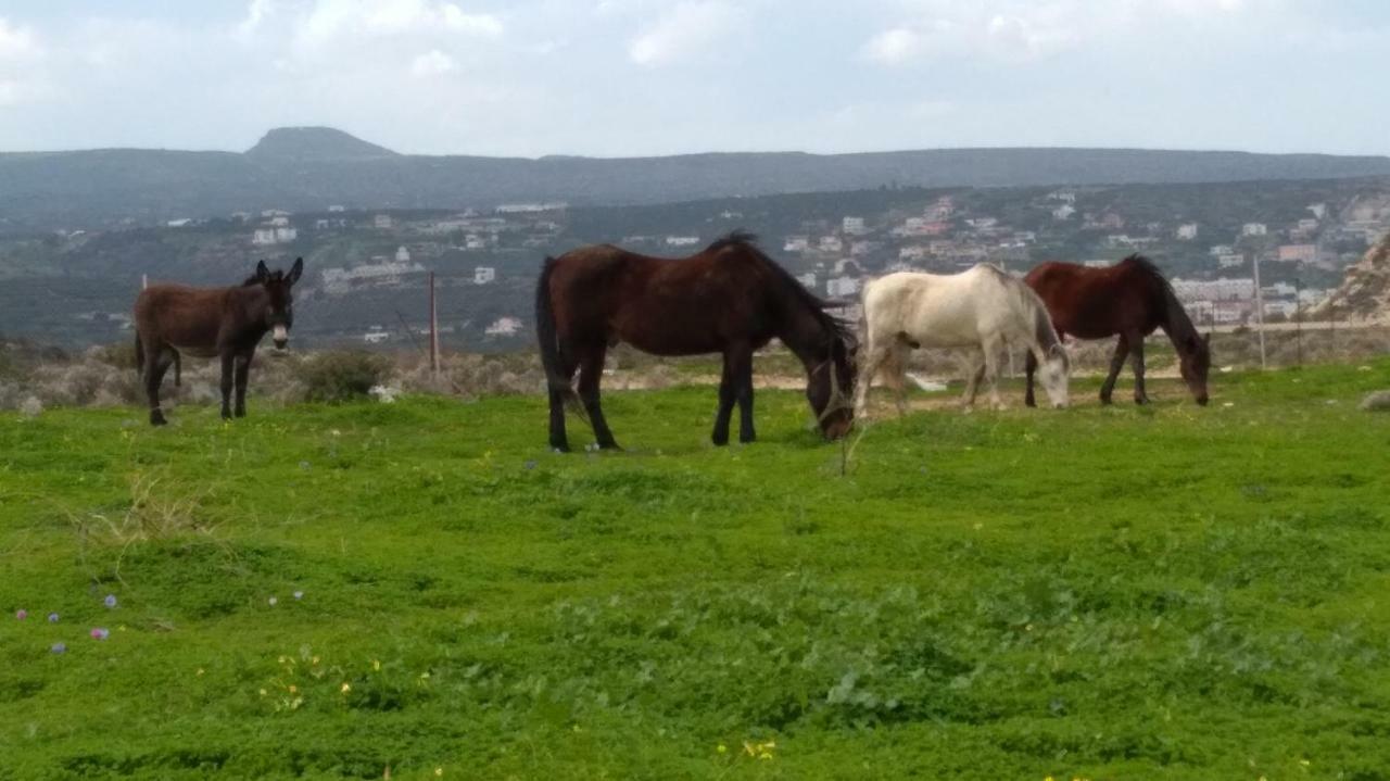 New Country House Salvia Sitia  Buitenkant foto